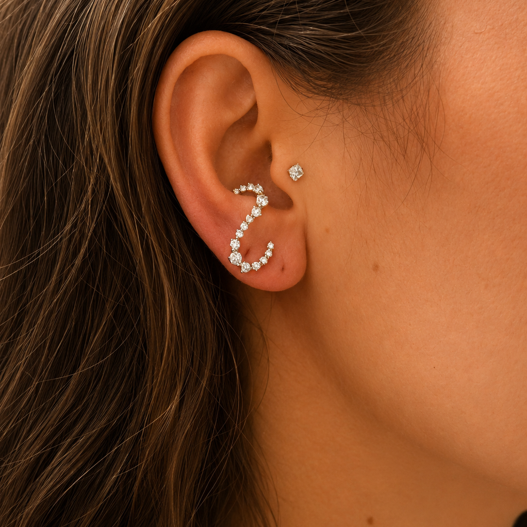 One Side S Diamond Earring